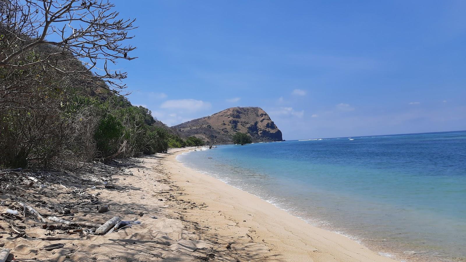 Sandee Pantai Rako Photo