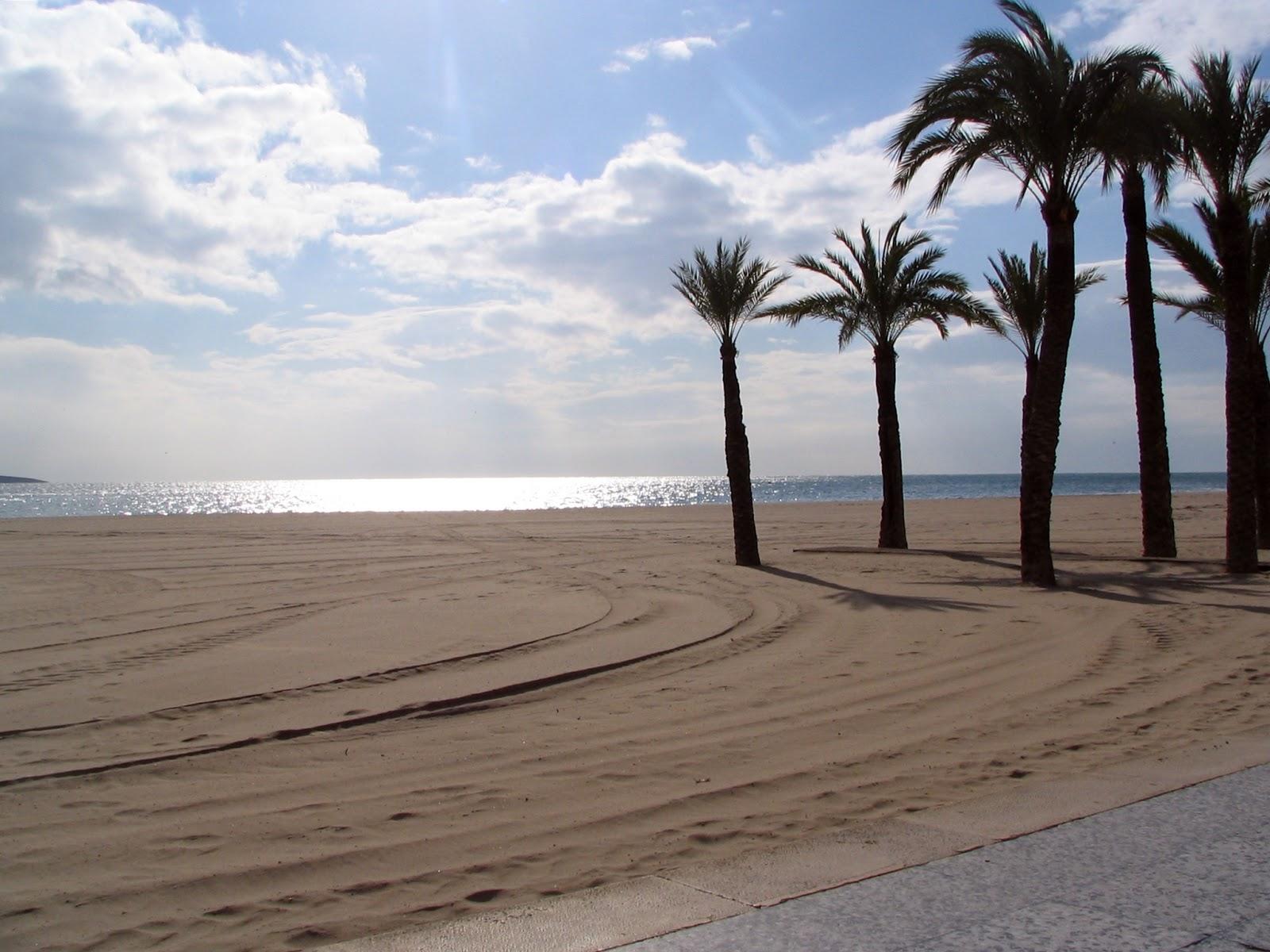 Sandee - Calas De Poniente Beach