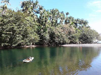 Sandee - Honoli'I Beach Park