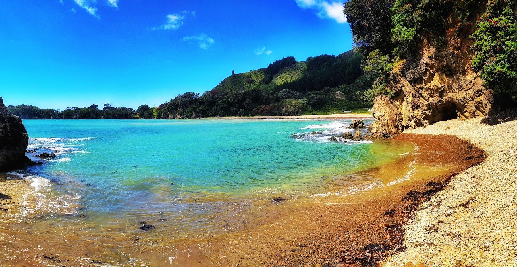 Sandee Waihau Bay Photo