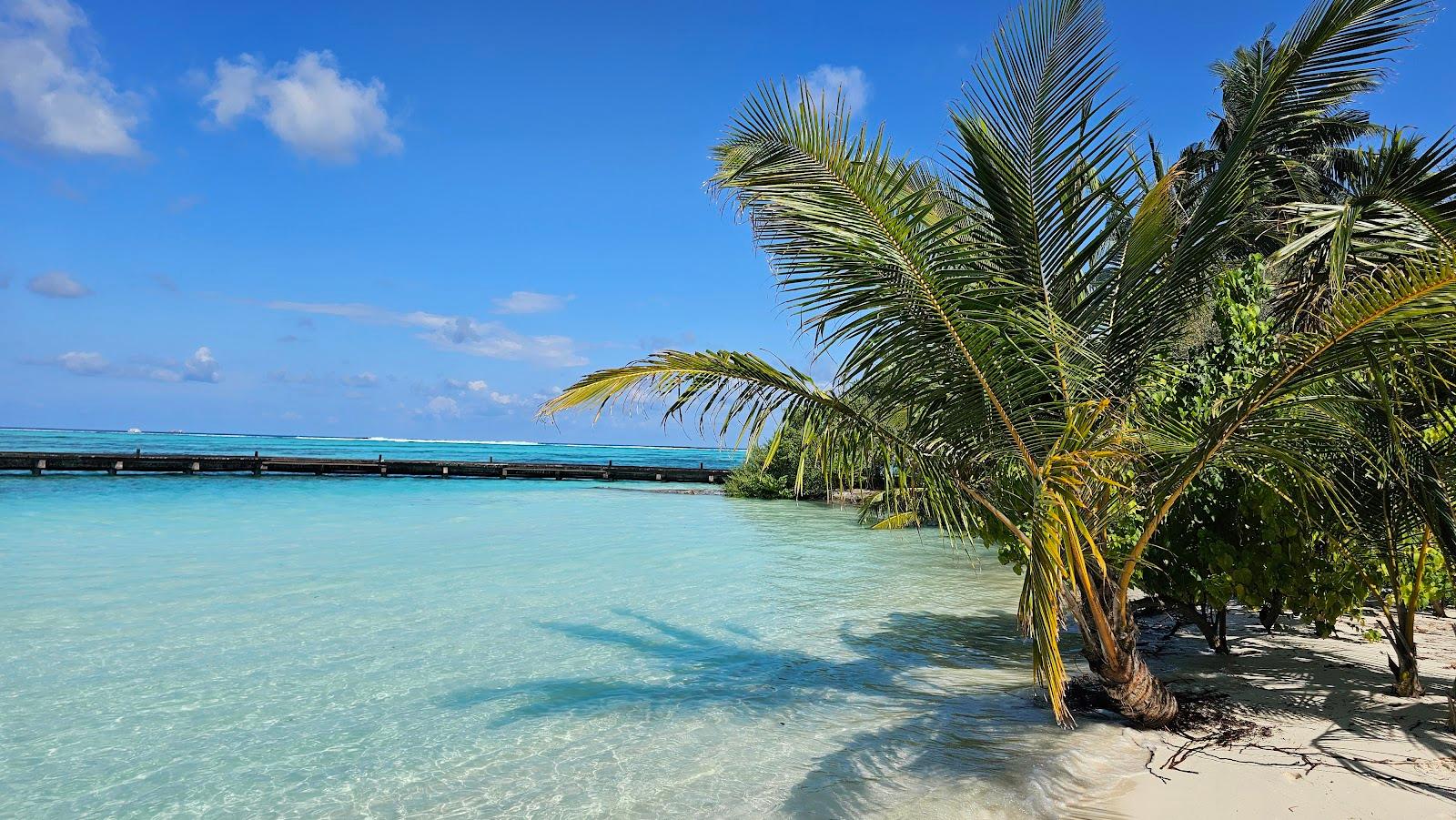 Sandee Lhohifushi