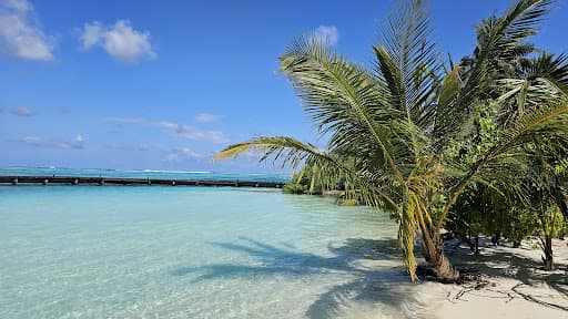 Sandee - Lhohifushi