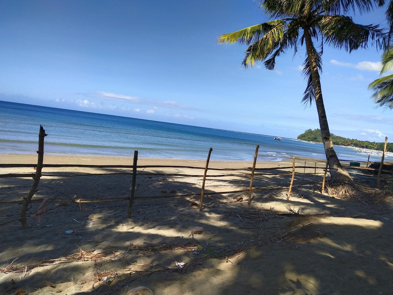 Sandee Sualig Beach Photo