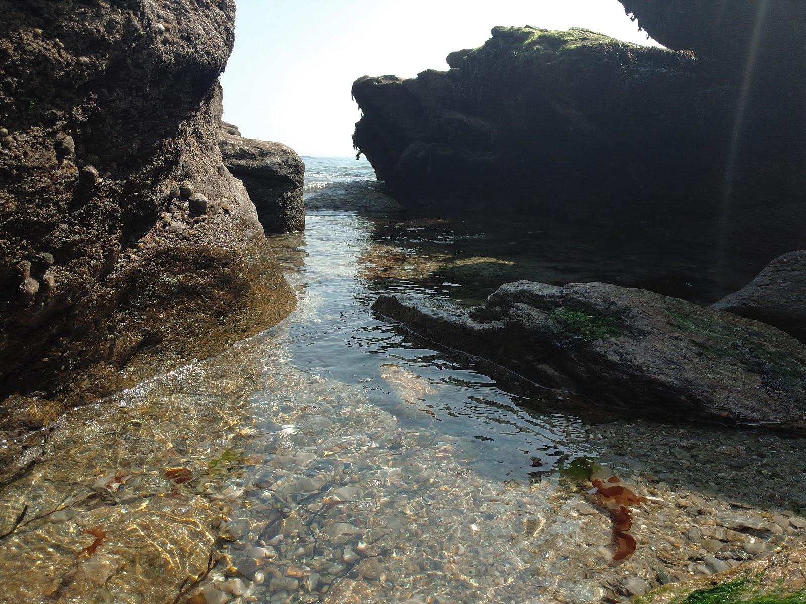 Sandee - Port Melite Beach