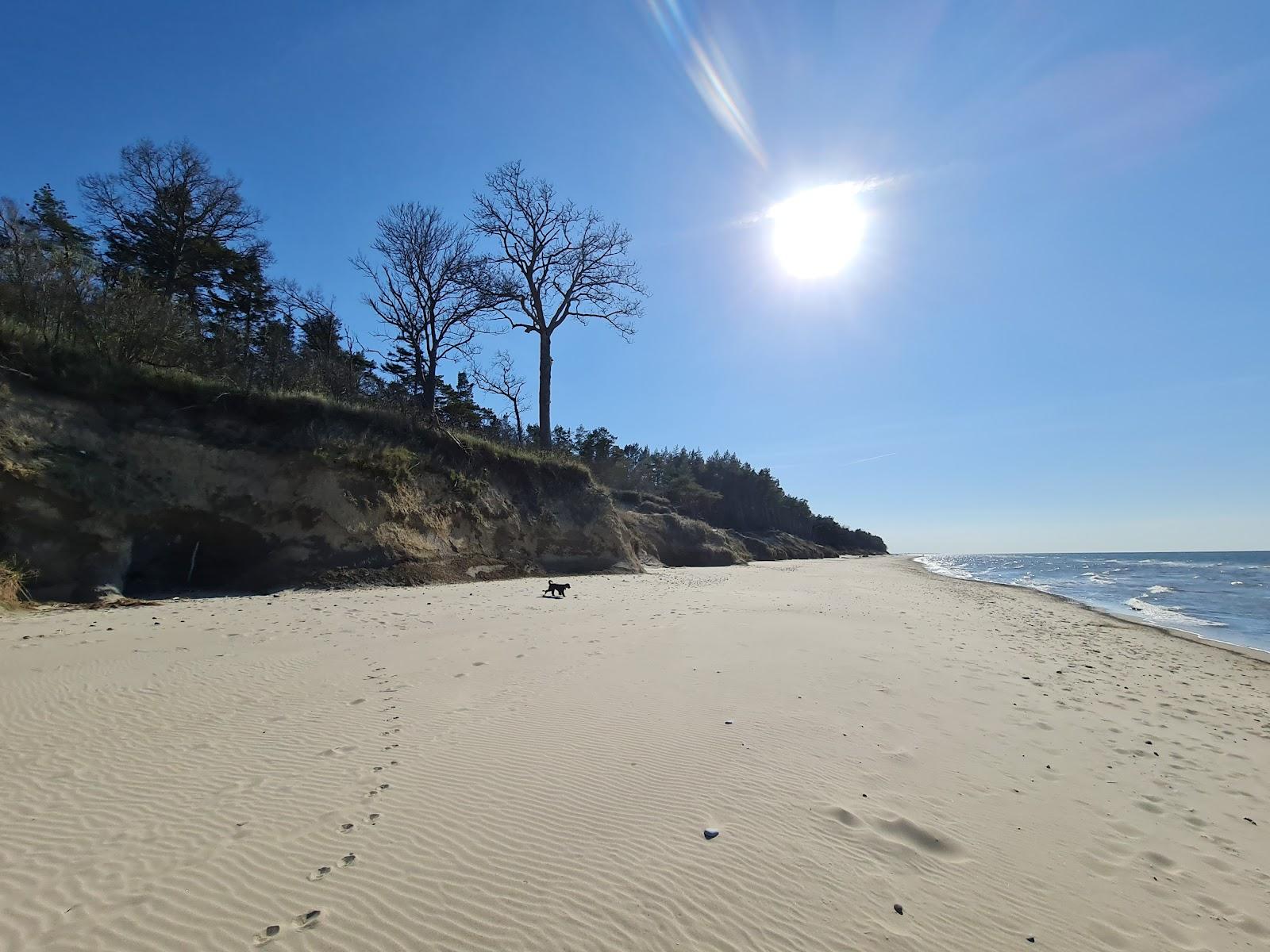 Sandee Plesna Beach
