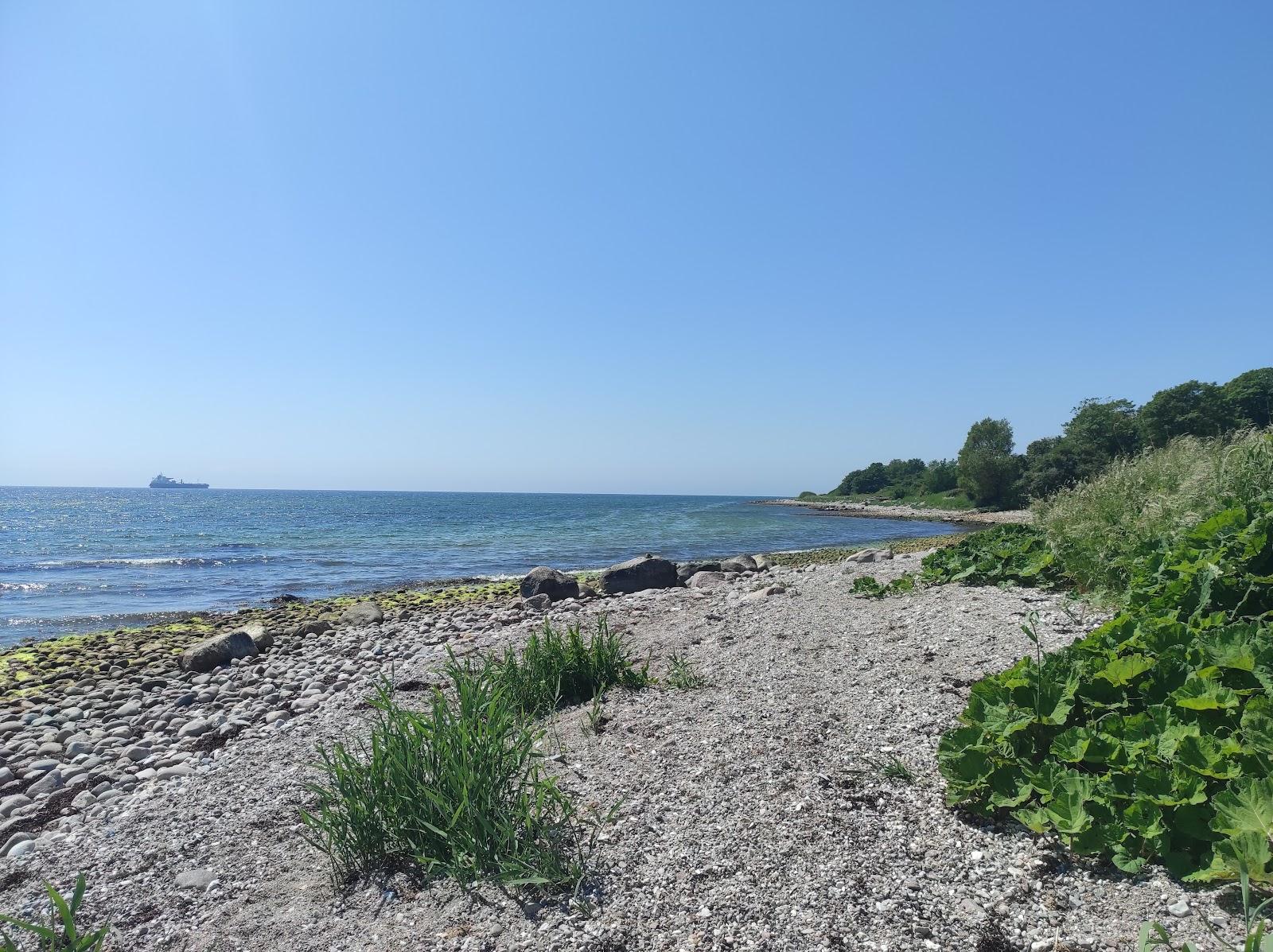 Sandee Ulstrup Strand
