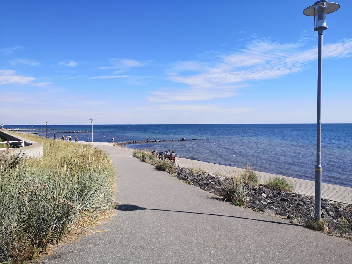 Sandee Hundestrand Sud Dahme Photo