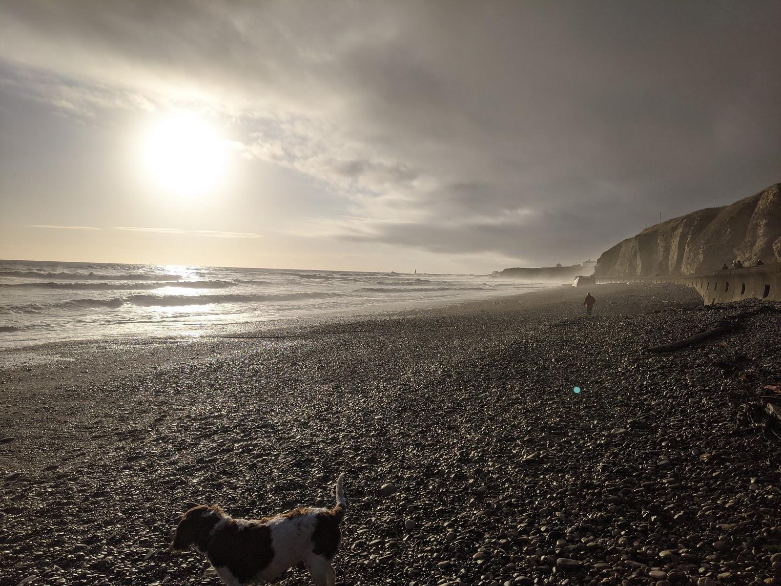 Sandee Glass Beach Photo