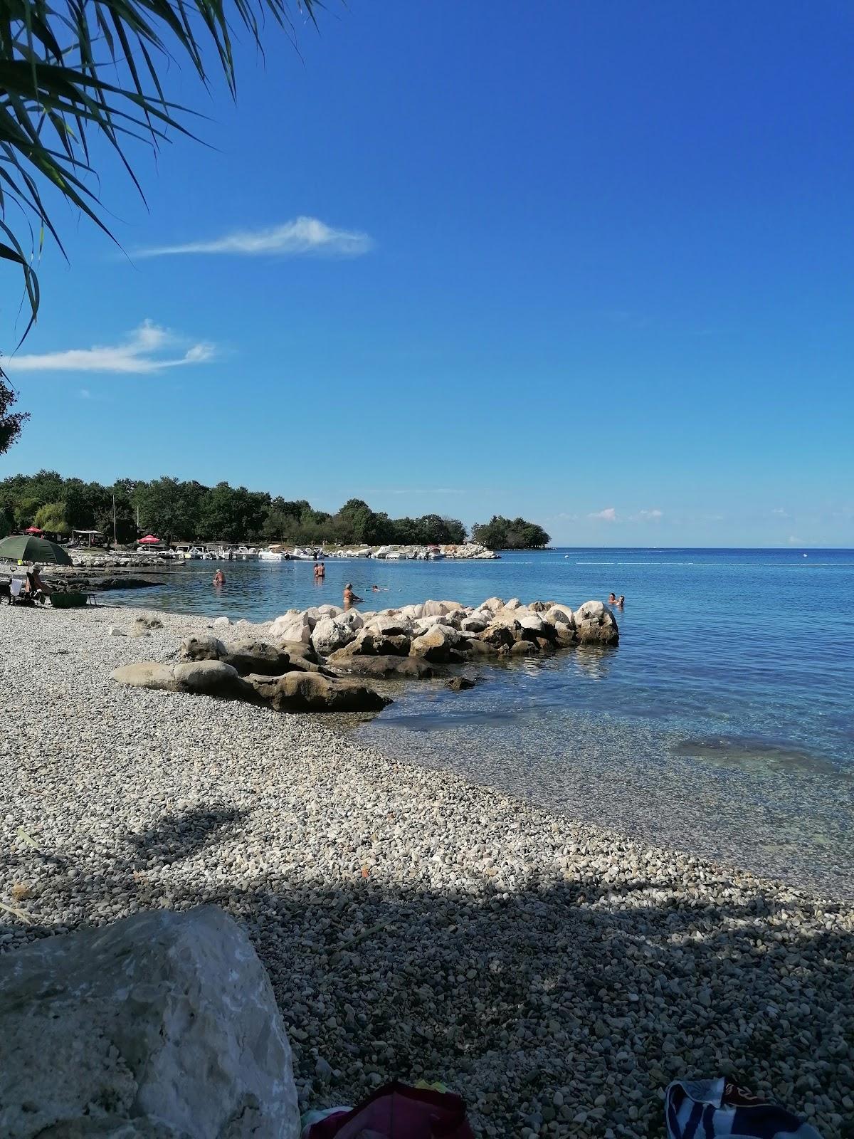 Sandee Donji Spadici Beach Photo