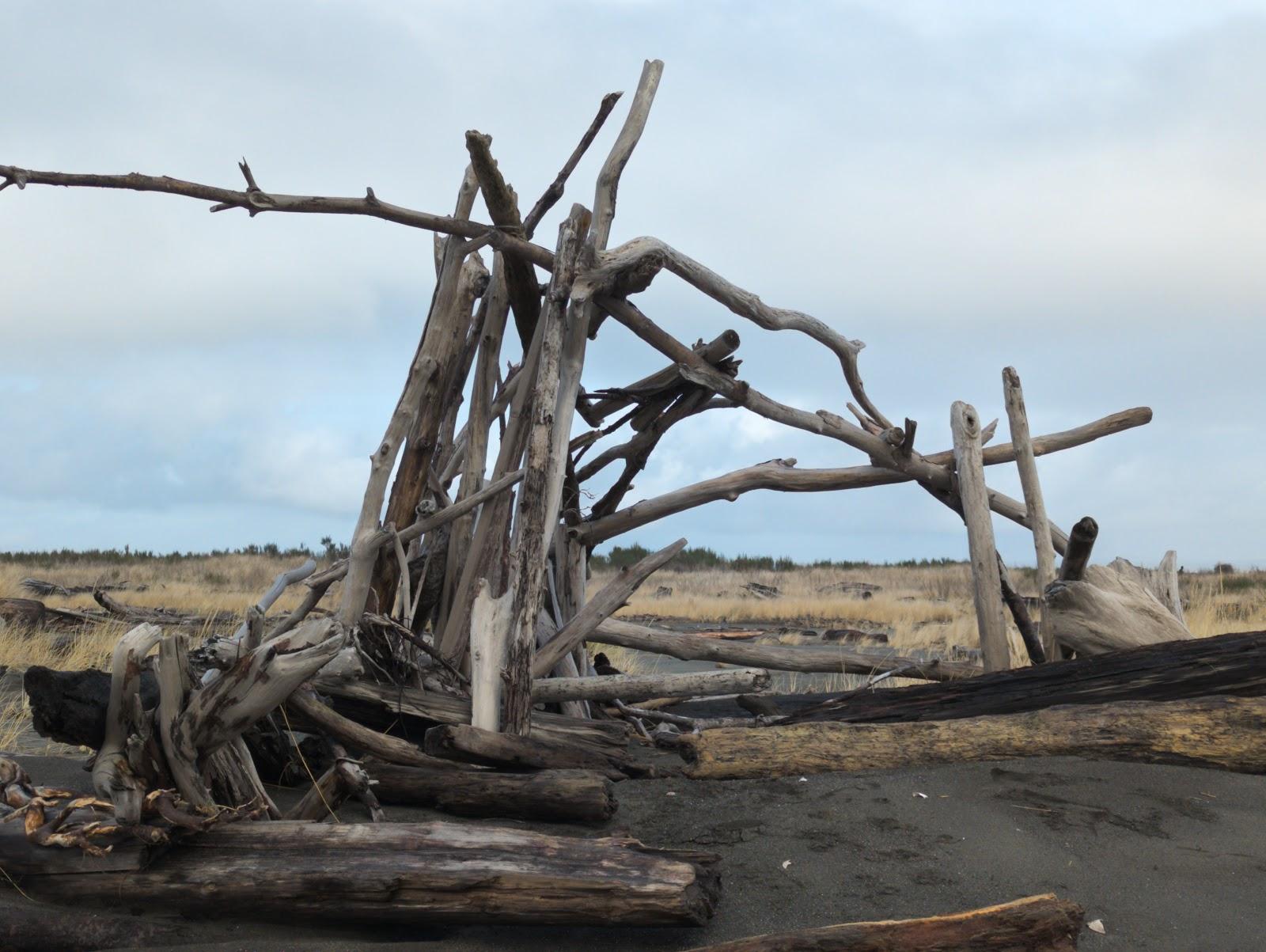 Sandee Damon Point State Park, Protection Island