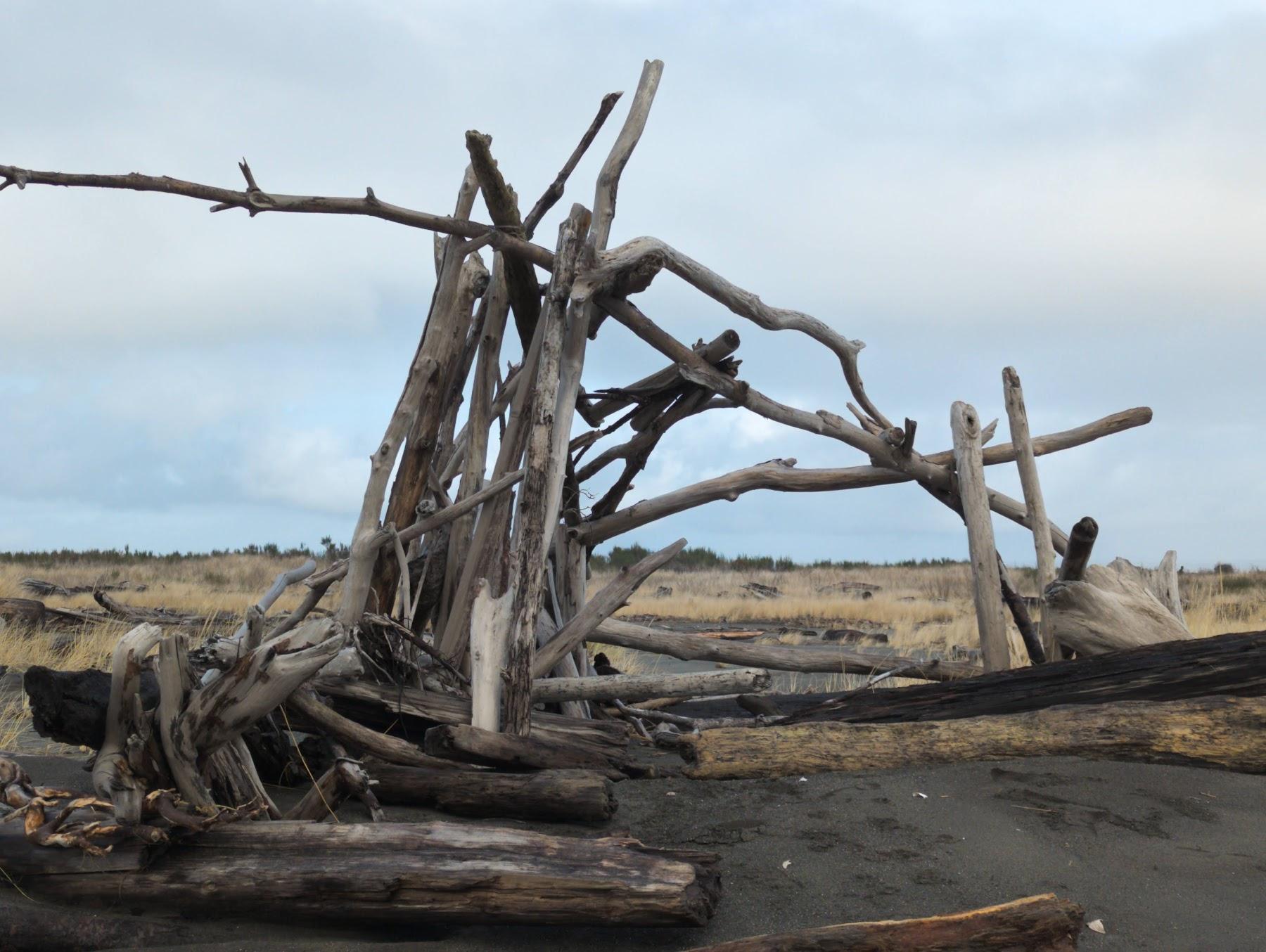 Sandee Damon Point State Park, Protection Island