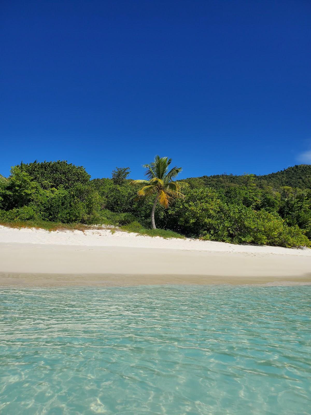 Sandee Monkey Point