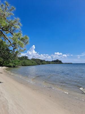 Sandee - Mobbly Bayou Beach Park