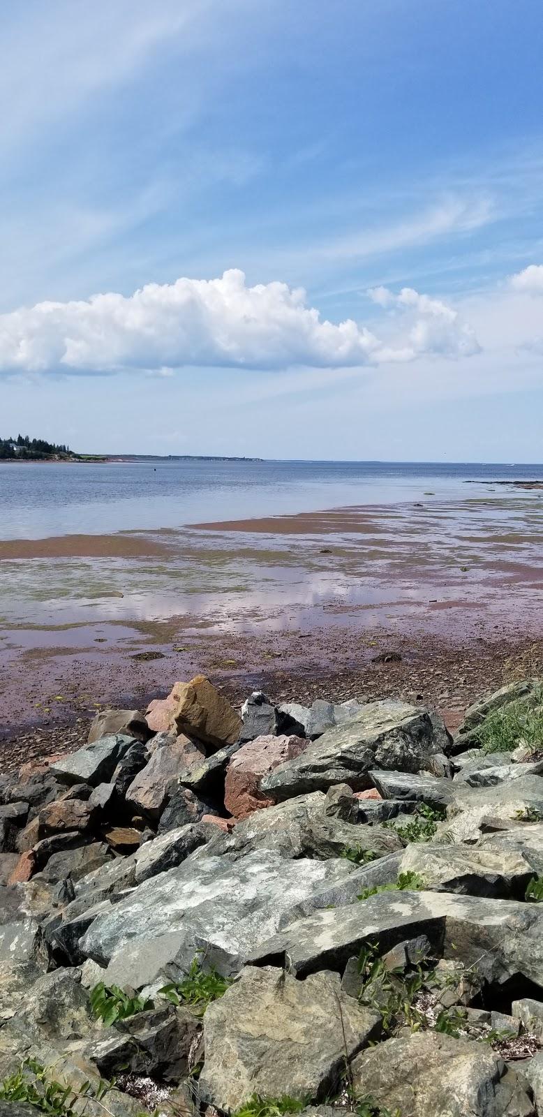 Sandee Dinghy Beach