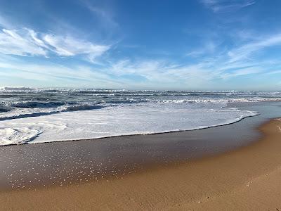 Sandee - Praia Da Mexilhoeira