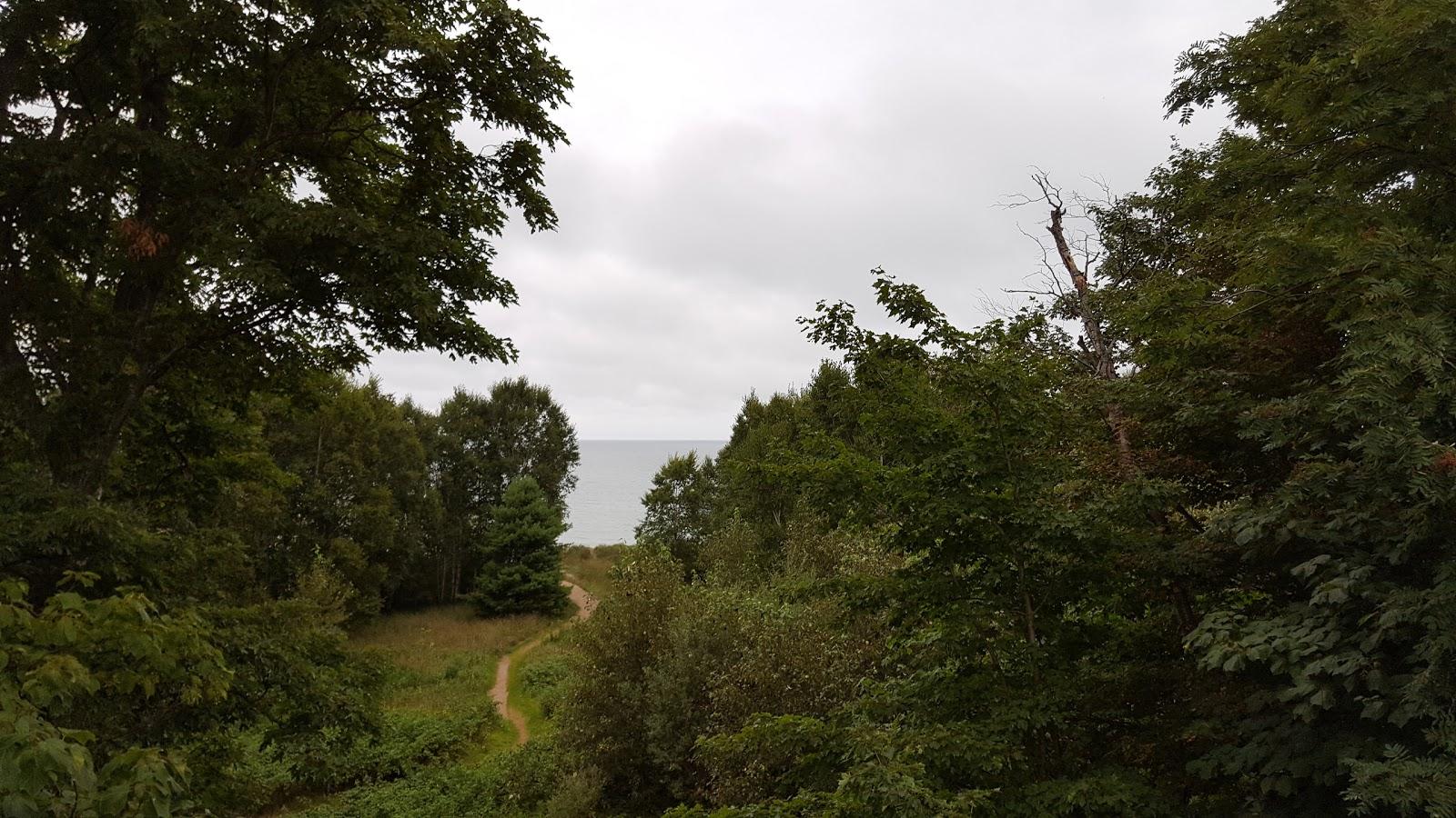Sandee Lake Superior State Forest