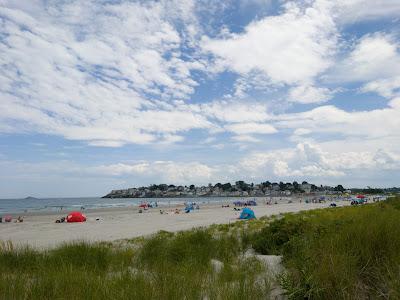 Sandee - Nahant Beach