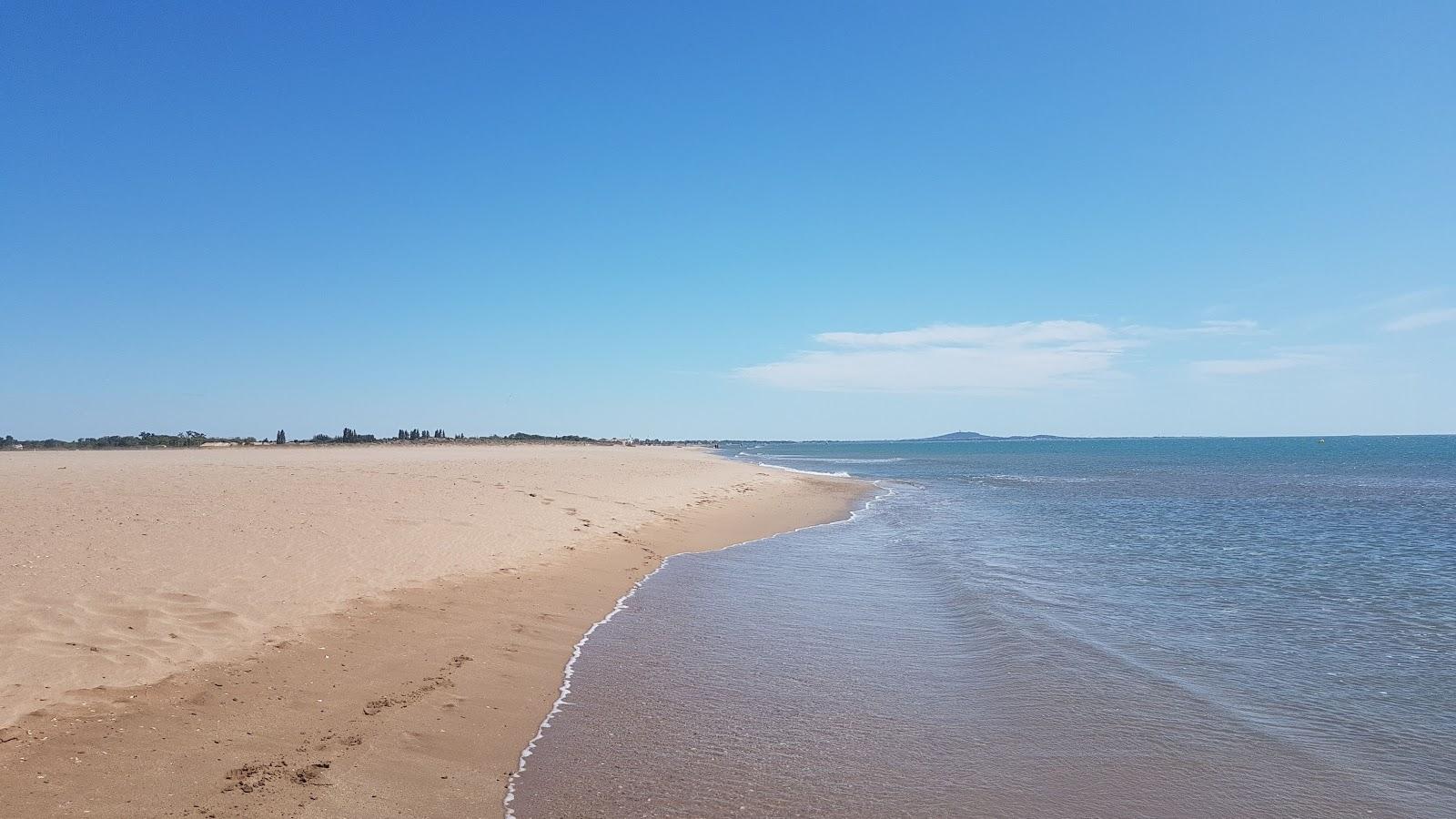 Sandee Plage Du Bosquet
 Photo