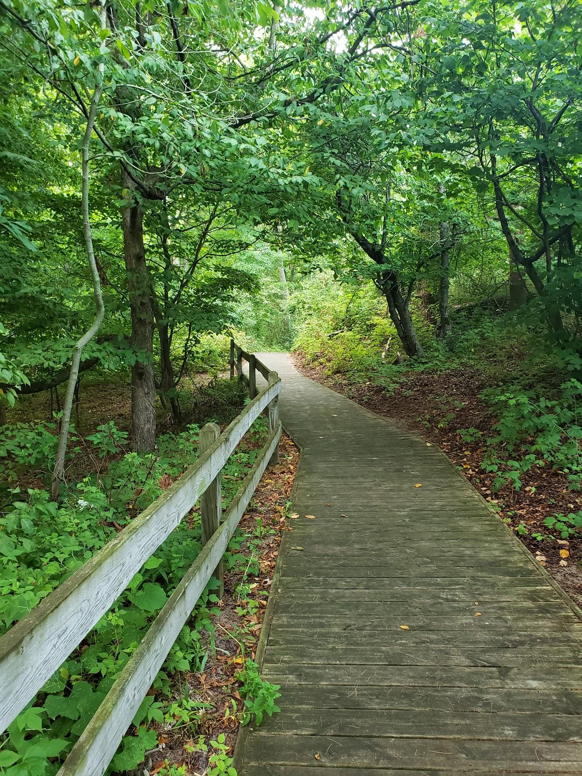 Sandee - Pioneer County Park