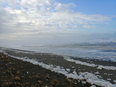 Sandee - Westport Dunes