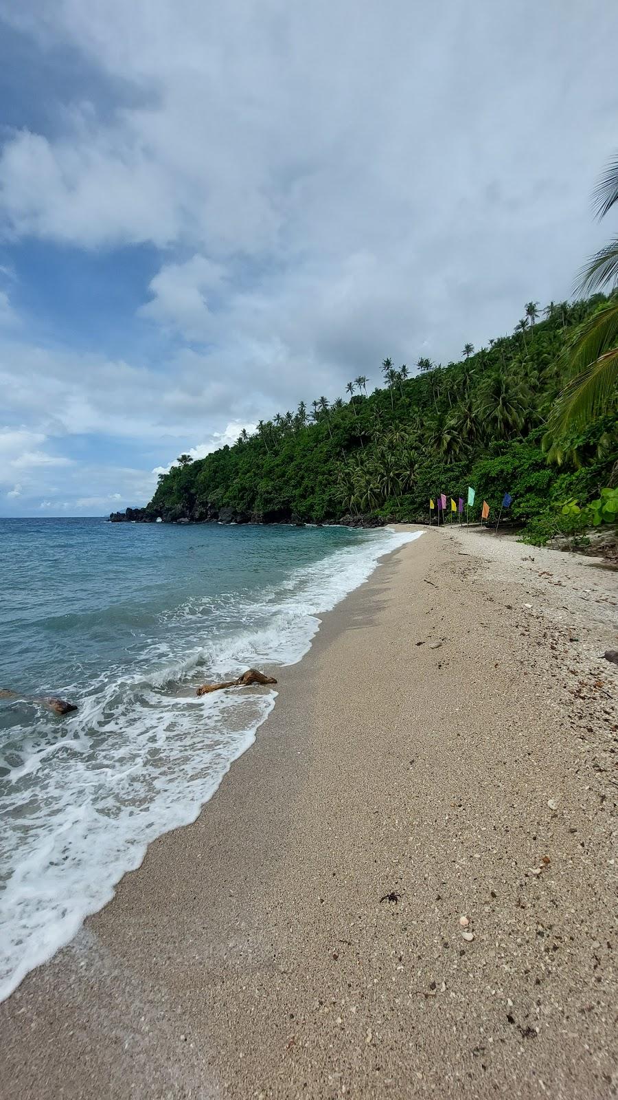 Sandee Cambonga Beach