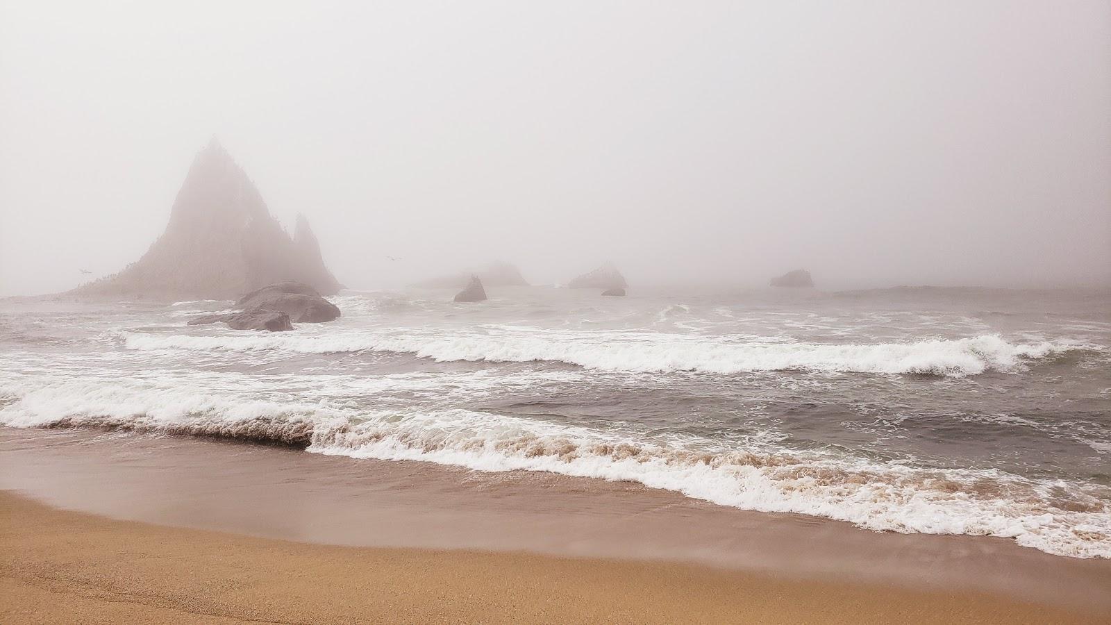 Sandee - Martins Beach