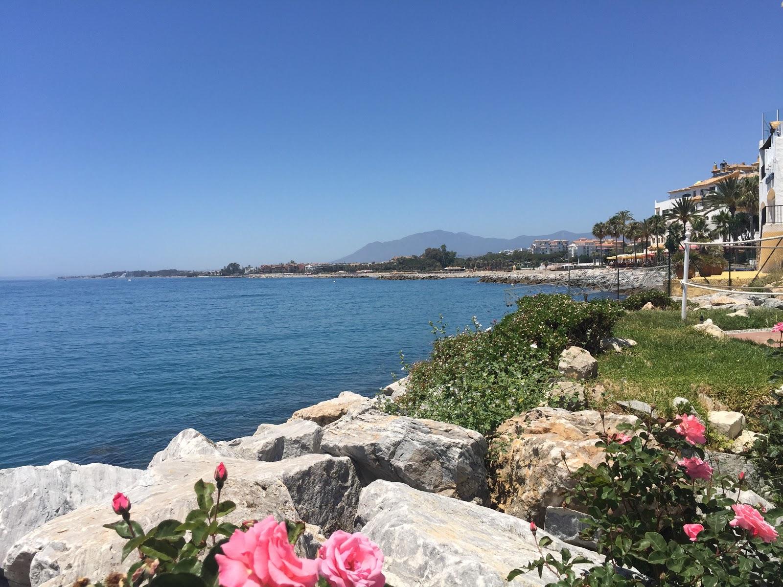 Sandee Playa De Puerto Banus