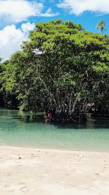 Sandee - Asaga River Pool And Beach