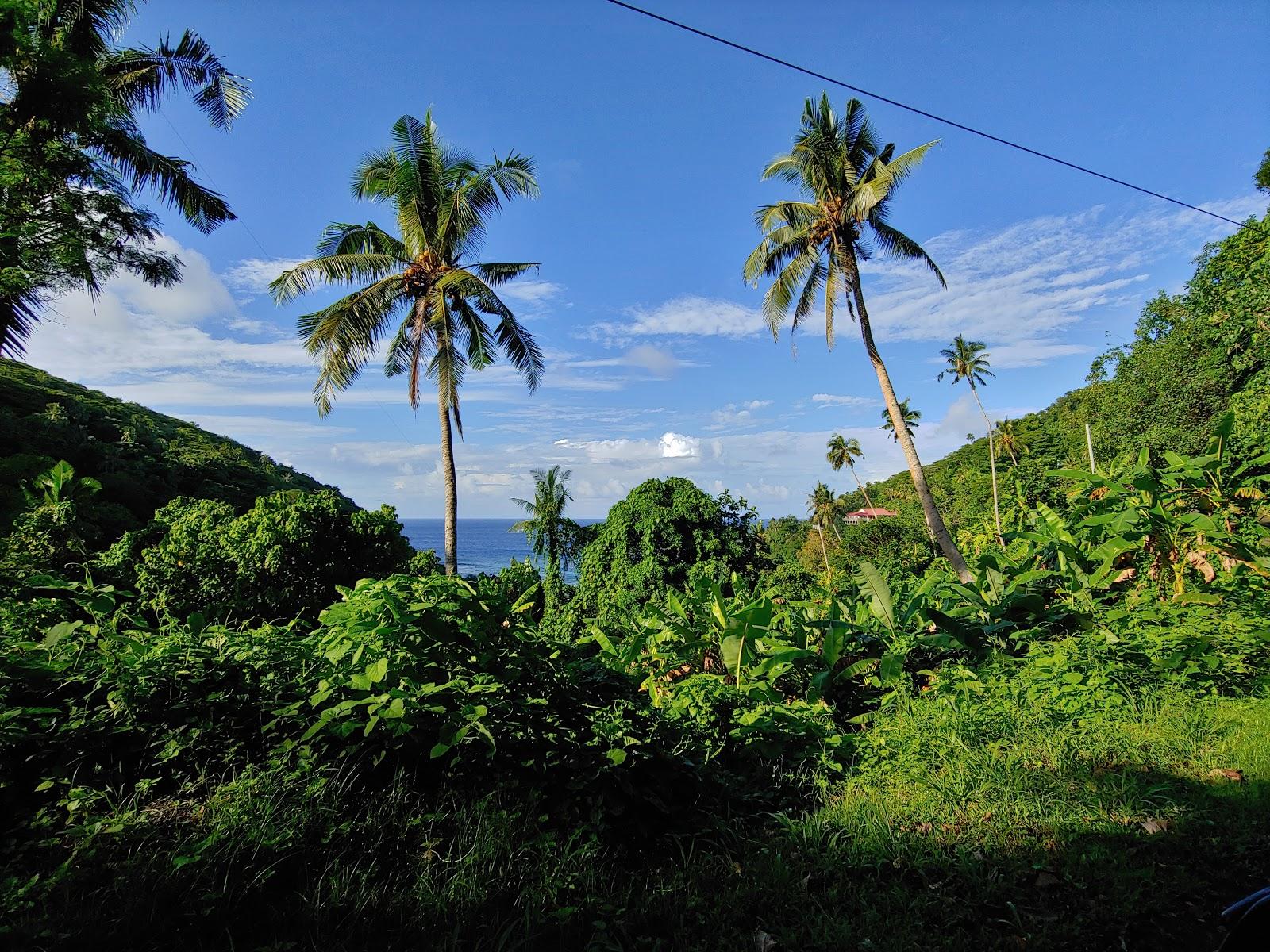 Sandee Masausi Beach