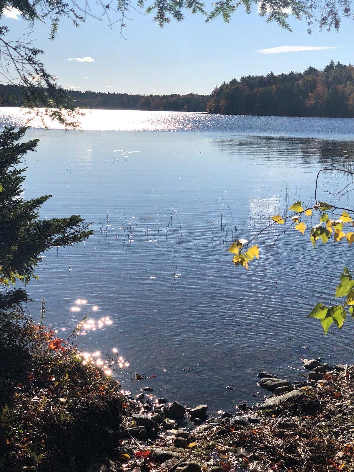 Sandee Sandy Lake Photo