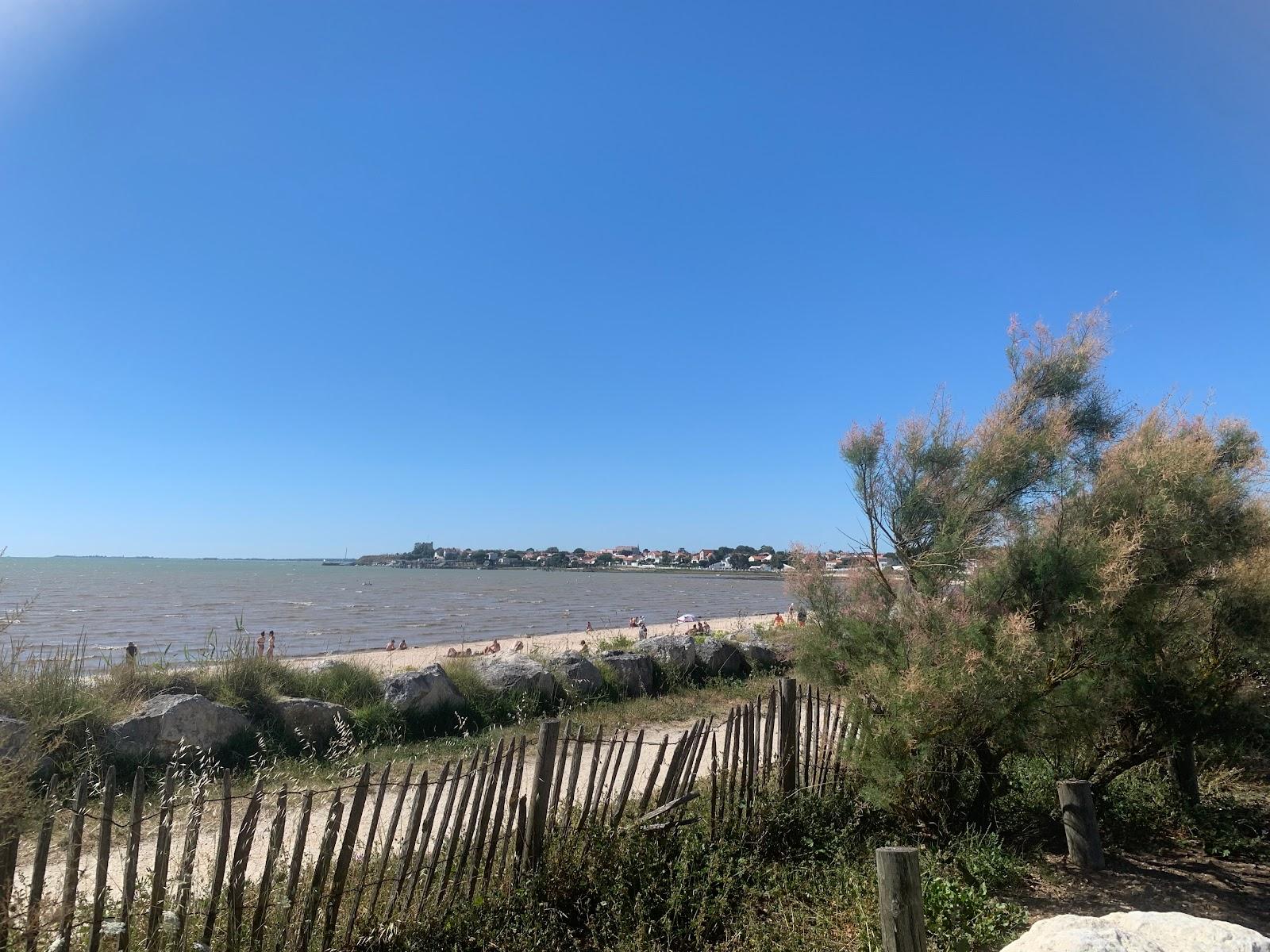 Sandee Plage De L'Esperance Photo