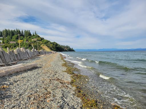 Sandee Goose Spit Regional Park Photo