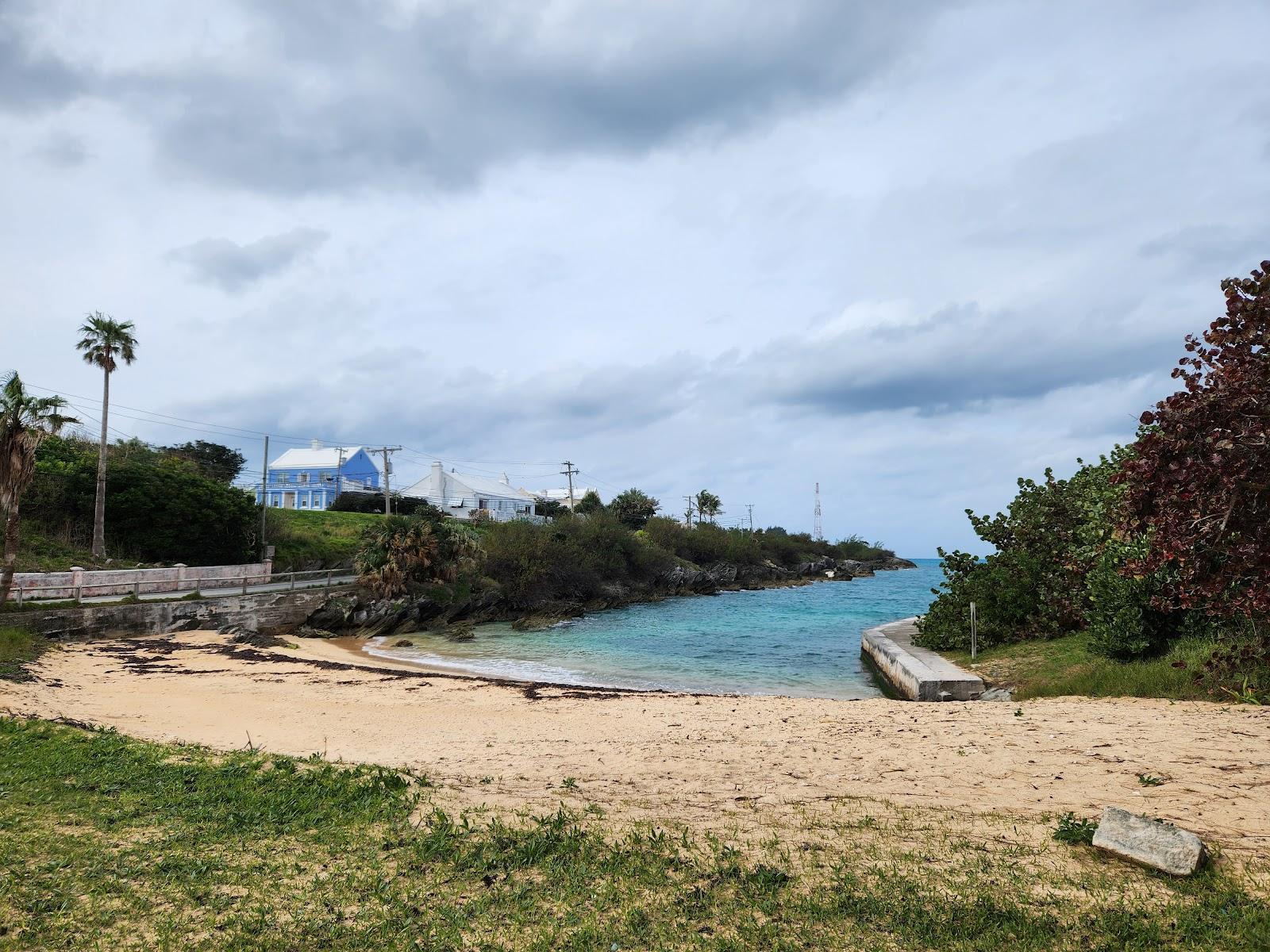 Sandee Alexandra Battery