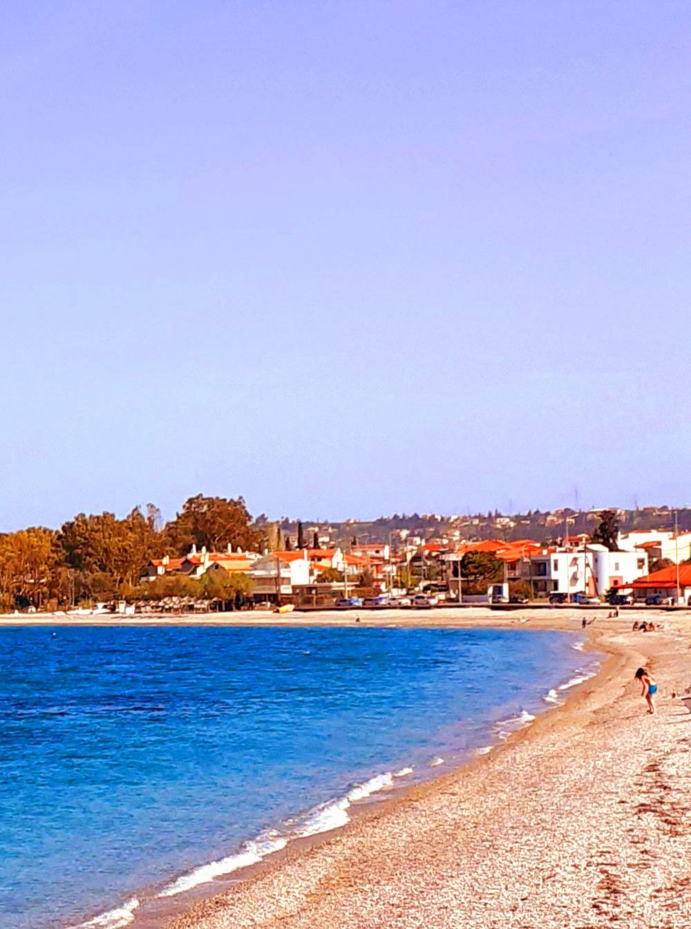 Sandee Quarters