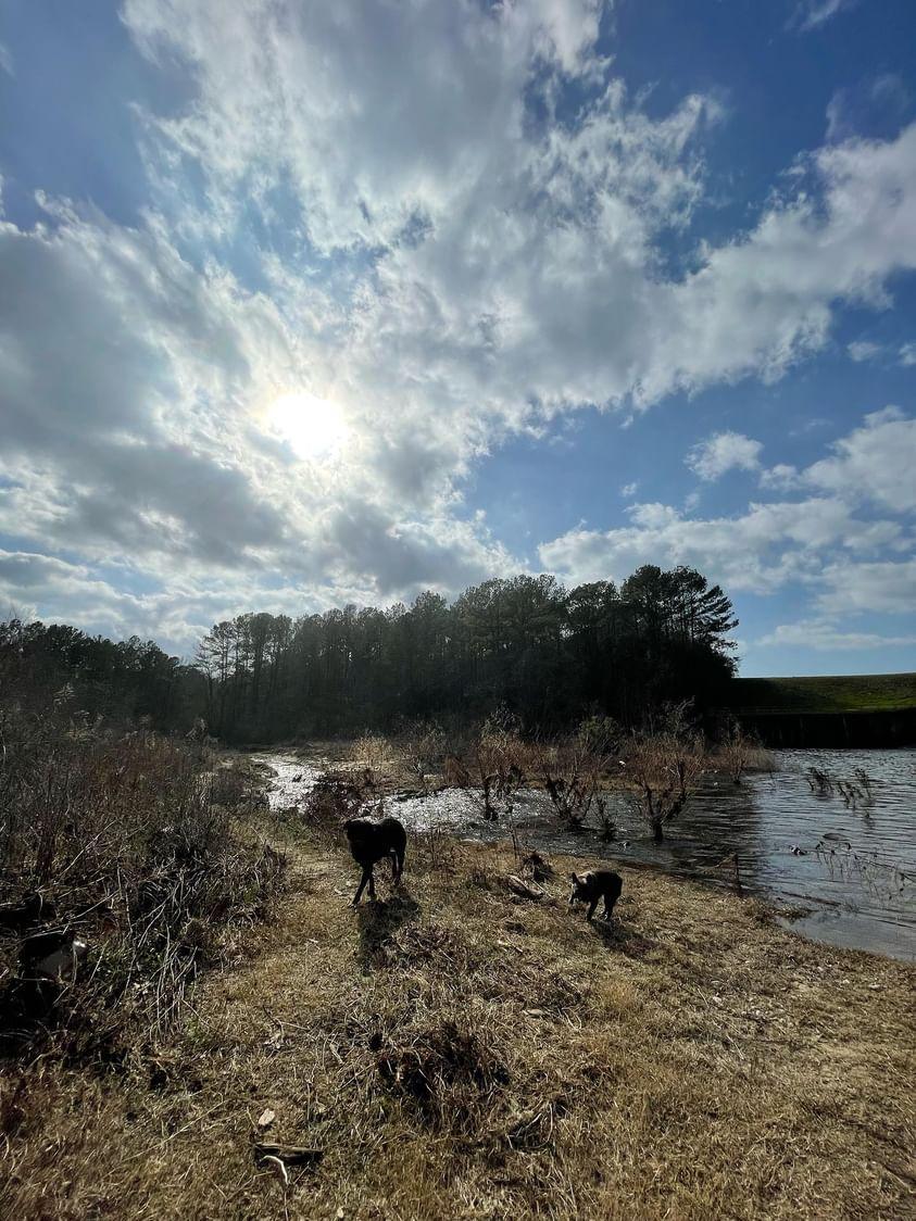 Sandee - Vernon Lake