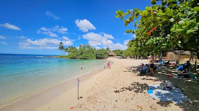 Sandee - Paradise Cove Beach