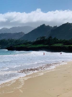 Sandee - Pounders Beach