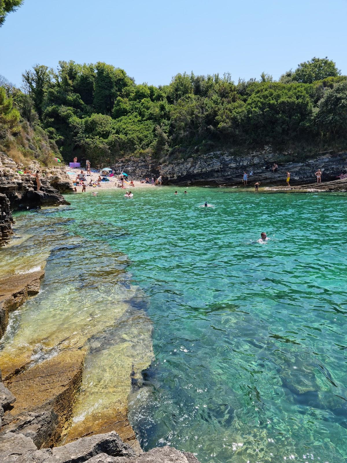 Sandee Beach Radovica Photo