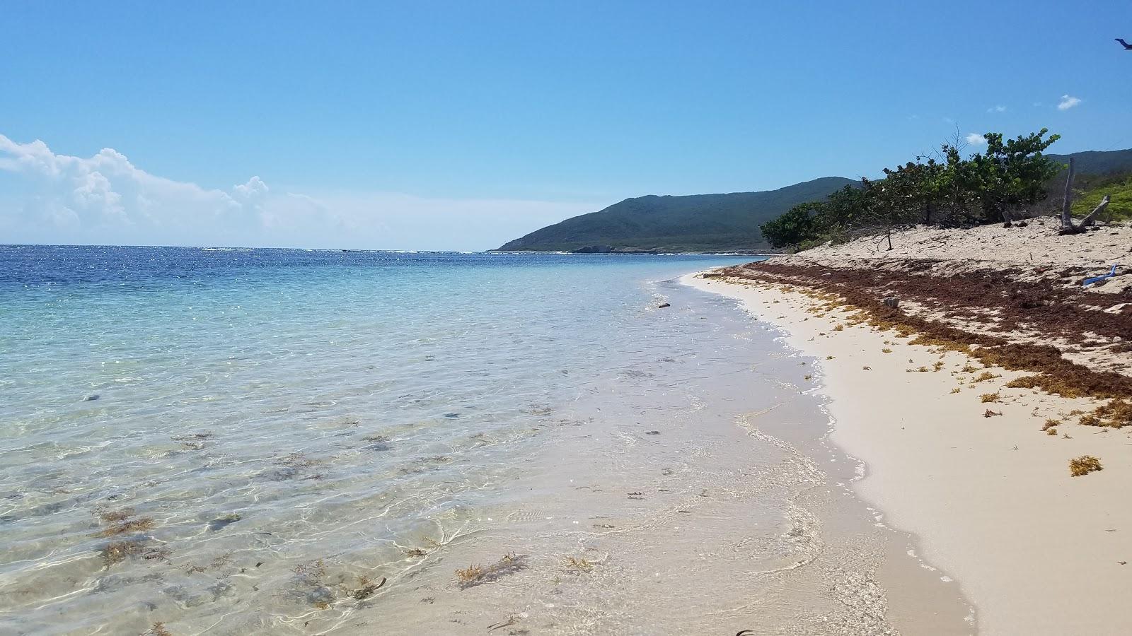 Sandee - La Caobita Beach