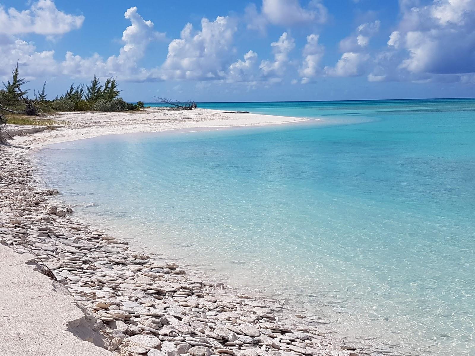 Sandee Diamond Crystal Beach