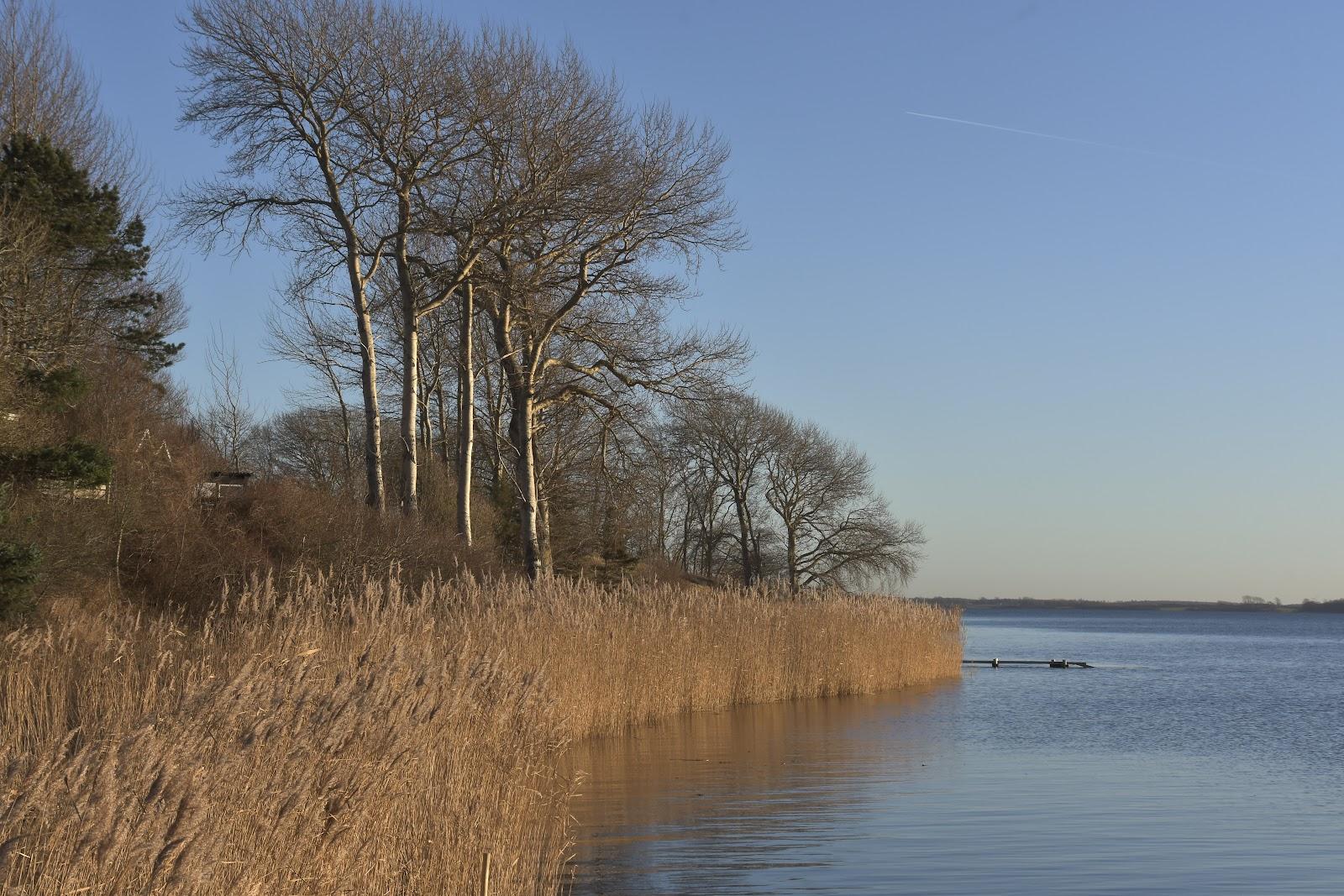 Sandee Svenstrup Strand