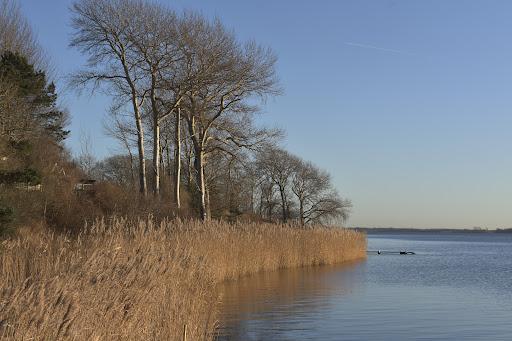 Sandee Svenstrup Strand Photo