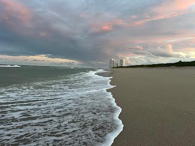 Sandee - John D. Macarthur Beach