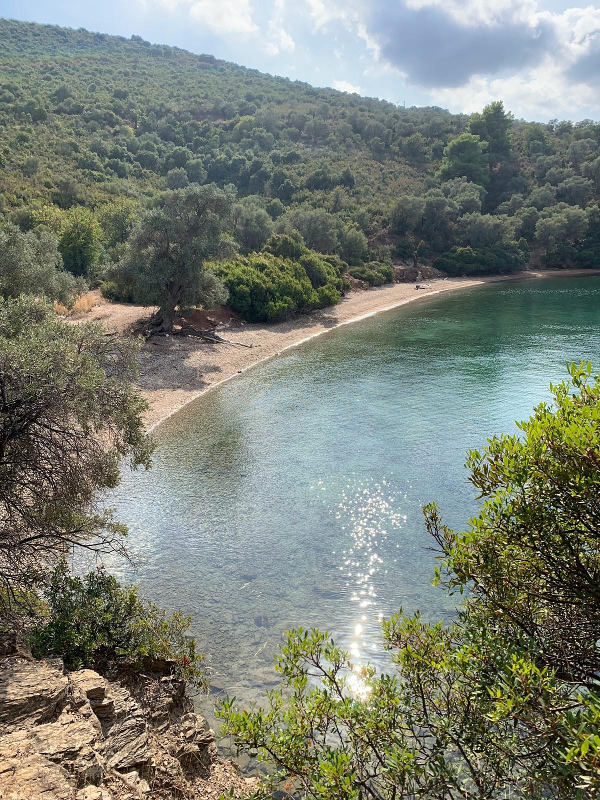 Sandee Tzasteni Beach Photo