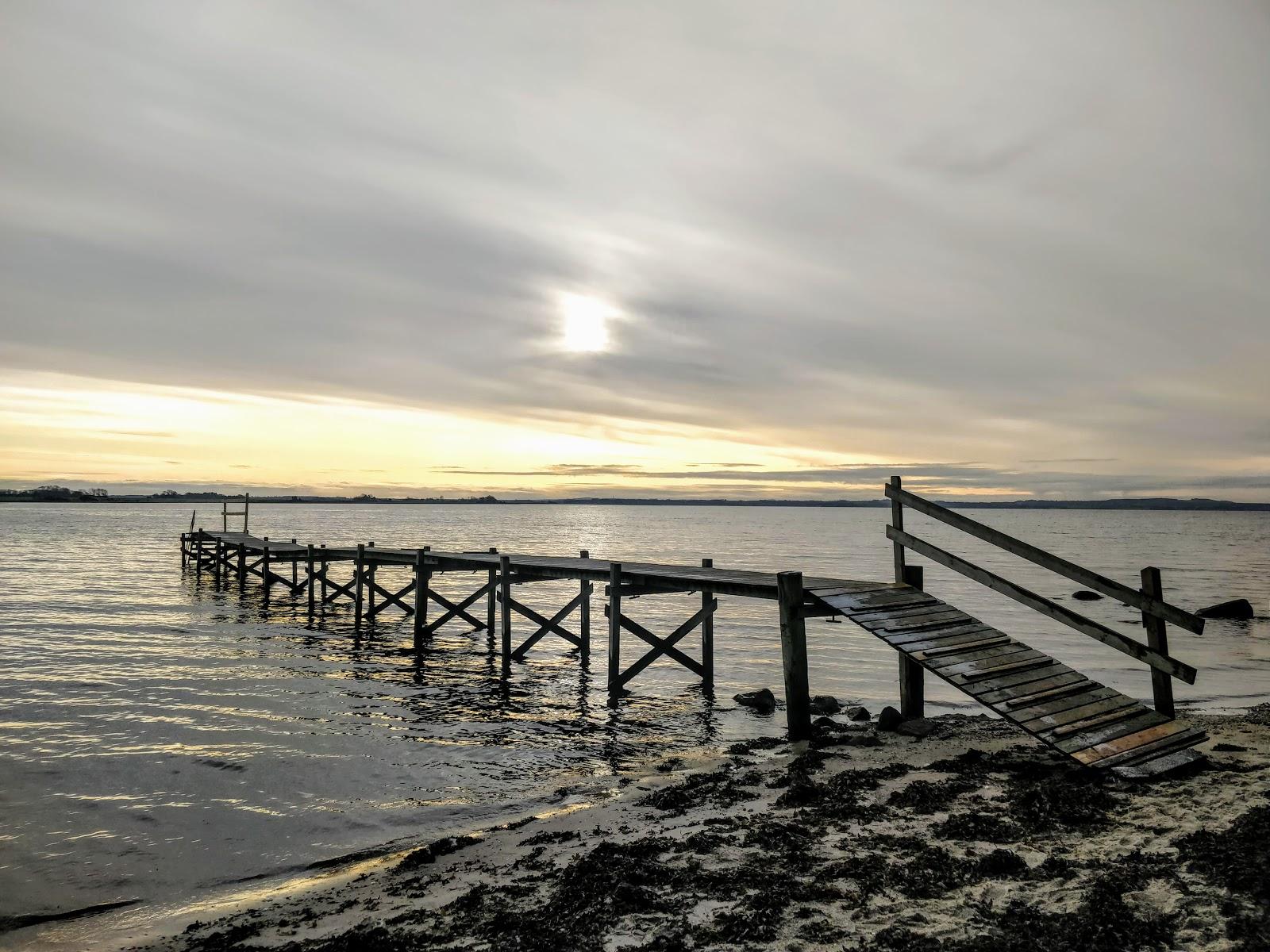 Sandee Sondrup Strand