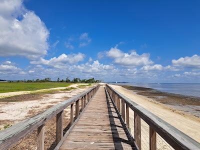 Sandee - Dolphin Head Beach