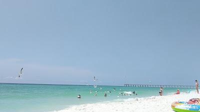 Sandee - Navarre Beach Marine Park