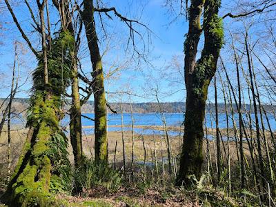 Sandee - Anderson Point County Park