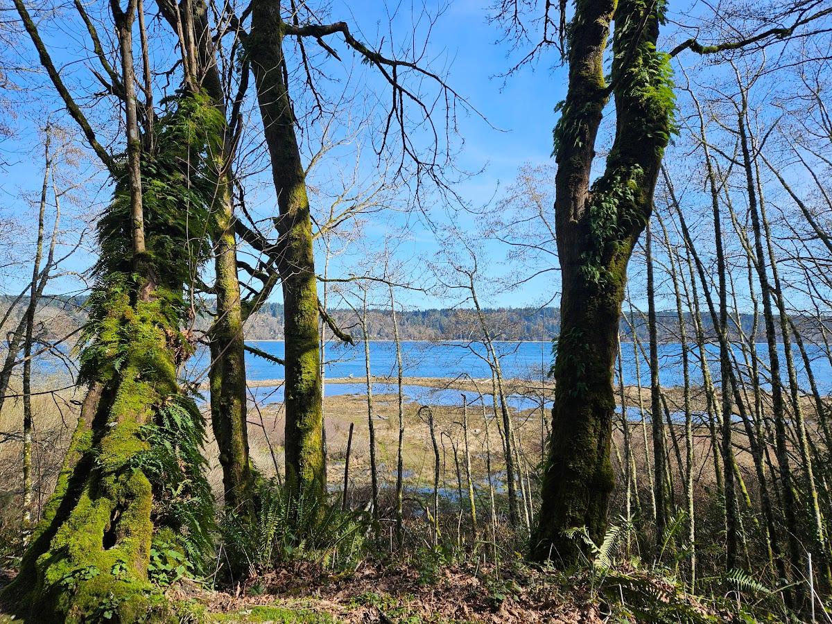 Sandee - Anderson Point County Park