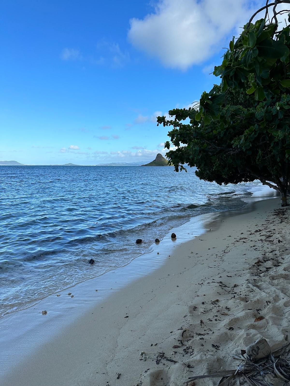 Sandee - Kualoa Sugar Mill Beach